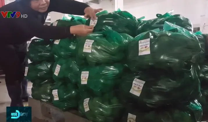 Đà Lạt dán tem chống giả cho 1.500 tấn khoai tây - Ảnh 1. Đà Lạt dán tem chống giả cho 1.500 tấn khoai tây - Ảnh 1.