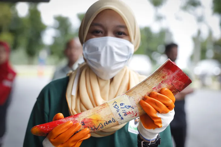 Malaysia thiêu hủy gần 4 tấn ngà voi - Ảnh 4. Malaysia thiêu hủy gần 4 tấn ngà voi - Ảnh 4.