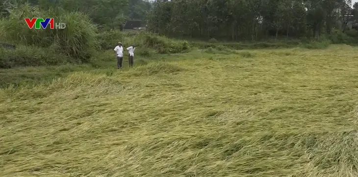 Lốc xoáy tốc mái hàng trăm ngôi nhà tại Hà Tĩnh - Ảnh 1. Lốc xoáy tốc mái hàng trăm ngôi nhà tại Hà Tĩnh - Ảnh 1.