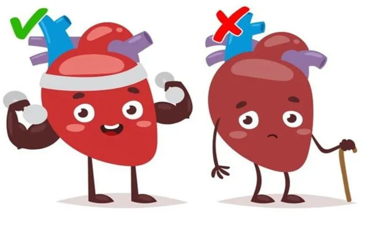 Uống nước đá mùa nắng nóng gây hại cho sức khỏe như thế nào? - Ảnh 5. Uống nước đá mùa nắng nóng gây hại cho sức khỏe như thế nào? - Ảnh 5.