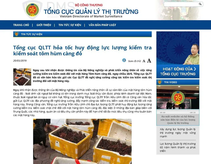 Tổng cục Quản lý thị trường huy động lực lượng kiểm tra, kiểm soát tôm hùm càng đỏ - Ảnh 1. Tổng cục Quản lý thị trường huy động lực lượng kiểm tra, kiểm soát tôm hùm càng đỏ - Ảnh 1.