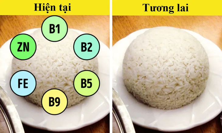 10 loại thực phẩm có nguy cơ “tuyệt chủng” vì biến đổi khí hậu - Ảnh 5. 10 loại thực phẩm có nguy cơ “tuyệt chủng” vì biến đổi khí hậu - Ảnh 5.