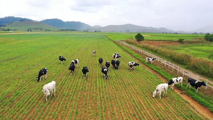 Vinamilk liên doanh với doanh nghiệp Lào và Nhật Bản khởi công xây dựng resort bò sữa organic quy mô 5.000 ha tại Lào - Ảnh 3. Vinamilk liên doanh với doanh nghiệp Lào và Nhật Bản khởi công xây dựng resort bò sữa organic quy mô 5.000 ha tại Lào - Ảnh 3.