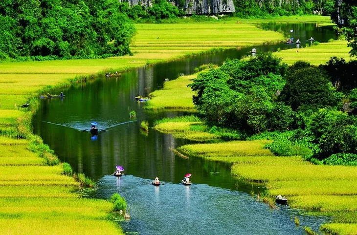 Ngắm mùa vàng Tam Cốc từ đỉnh Hang Múa - Ảnh 3.