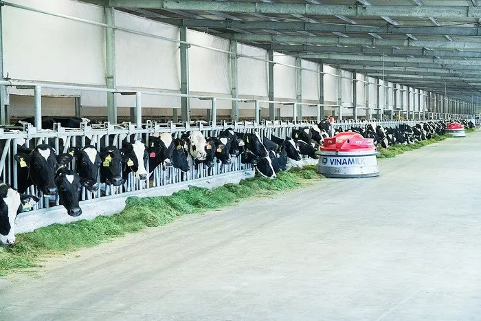 Một vòng khám phá trang trại “thông minh” của Vinamilk - Ảnh 4. Một vòng khám phá trang trại “thông minh” của Vinamilk - Ảnh 4.