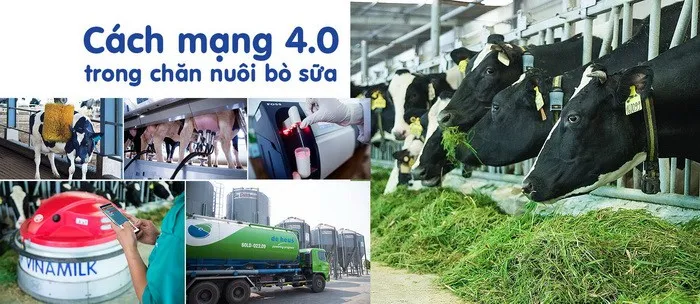 Một vòng khám phá trang trại “thông minh” của Vinamilk - Ảnh 7. Một vòng khám phá trang trại “thông minh” của Vinamilk - Ảnh 7.