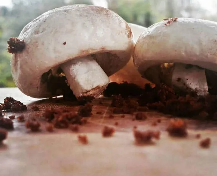 Sáng tạo nghệ thuật với những chiếc bánh ngọt - Ảnh 2. Sáng tạo nghệ thuật với những chiếc bánh ngọt - Ảnh 2.