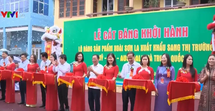 Công bố sản phẩm xoài Sơn La xuất khẩu năm 2019 - Ảnh 1. Công bố sản phẩm xoài Sơn La xuất khẩu năm 2019 - Ảnh 1.