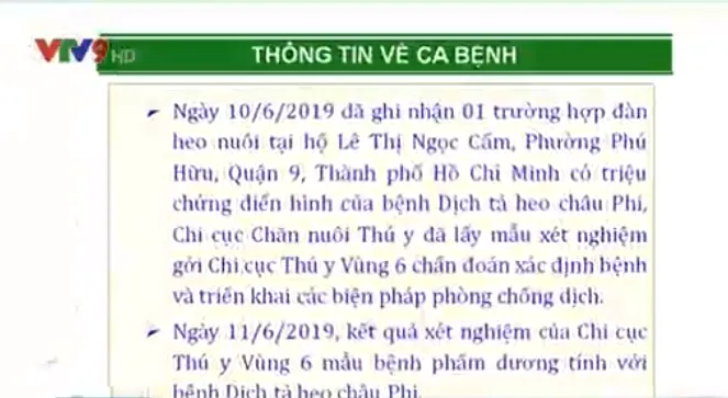 TP.HCM chính thức có dịch tả lợn châu Phi - Ảnh 1.