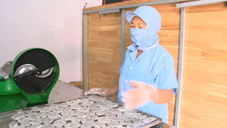 Độc đáo vị ngọt từ thanh long dẻo - Ảnh 2. Độc đáo vị ngọt từ thanh long dẻo - Ảnh 2.