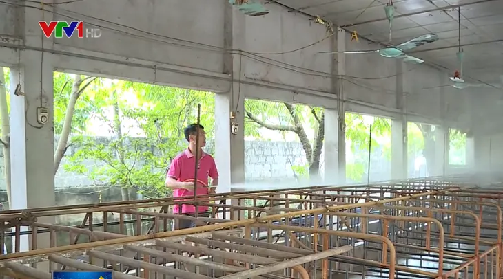 Sau “bão” dịch tả lợn châu Phi, người chăn nuôi mỏi mòn chờ hỗ trợ - Ảnh 1. Sau “bão” dịch tả lợn châu Phi, người chăn nuôi mỏi mòn chờ hỗ trợ - Ảnh 1.