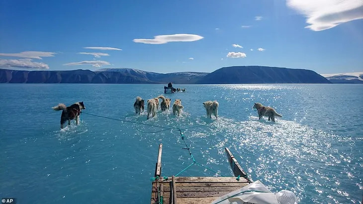 Bức ảnh lột tả hiện trạng băng tuyết tại Greenland gần đây - Ảnh 1. Bức ảnh lột tả hiện trạng băng tuyết tại Greenland gần đây - Ảnh 1.