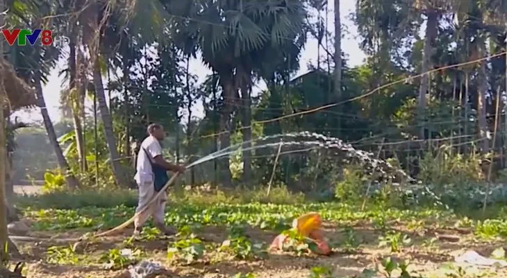 Tưới cây bằng năng lượng mặt trời tại Ấn Độ - Ảnh 1. Tưới cây bằng năng lượng mặt trời tại Ấn Độ - Ảnh 1.