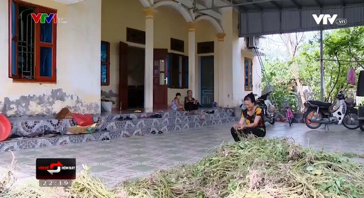 Người cao tuổi không có tích lũy: Làm sao để lương hưu không còn là ước mơ? - Ảnh 1. Người cao tuổi không có tích lũy: Làm sao để lương hưu không còn là ước mơ? - Ảnh 1.