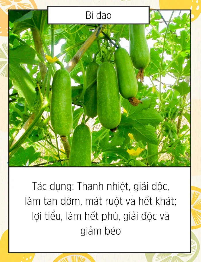 [INFOGRAPHIC] 10 thực phẩm tốt cho mùa Hè - Ảnh 10.