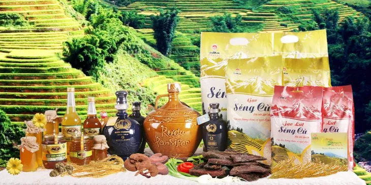 Lào Cai: Thêm 17 sản phẩm đủ tiêu chí OCOP cấp tỉnh - Ảnh 1. Lào Cai: Thêm 17 sản phẩm đủ tiêu chí OCOP cấp tỉnh - Ảnh 1.
