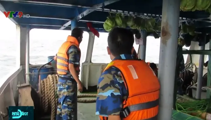 Cứu nạn vụ chìm tàu trên biển Hải Phòng - Ảnh 2. Cứu nạn vụ chìm tàu trên biển Hải Phòng - Ảnh 2.