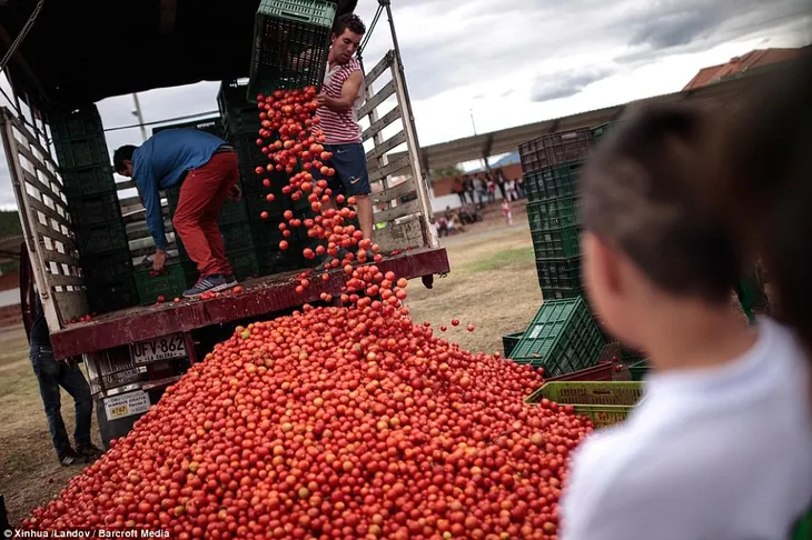 Thú vị cuộc chiến cà chua ở Colombia - Ảnh 1. Thú vị cuộc chiến cà chua ở Colombia - Ảnh 1.