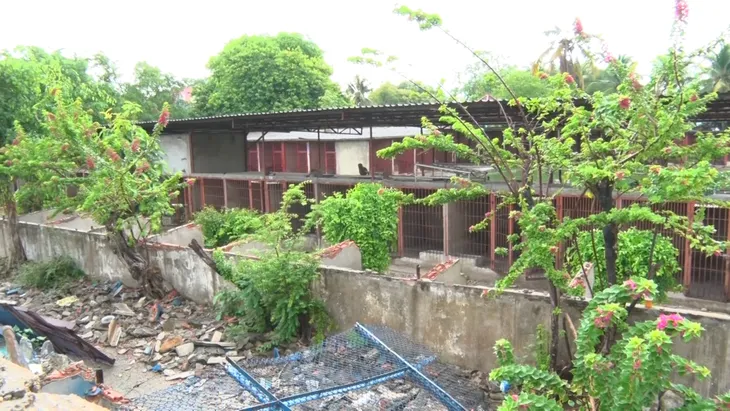 Người đàn ông 49 tuổi kể lại giây phút bị hổ vồ đứt hai tay - Ảnh 1. Người đàn ông 49 tuổi kể lại giây phút bị hổ vồ đứt hai tay - Ảnh 1.