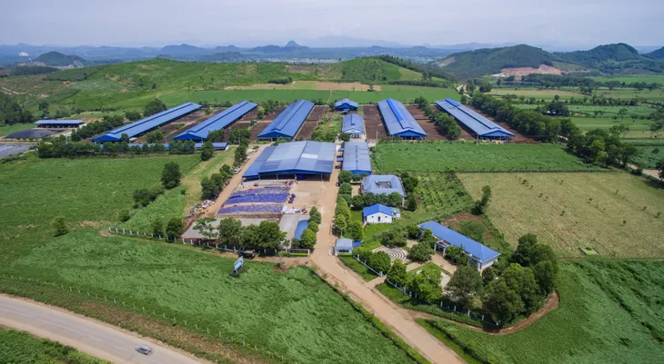 Vinamilk và những bước đi chiến lược trong 30 năm phát triển ngành chăn nuôi bò sữa - Ảnh 3. Vinamilk và những bước đi chiến lược trong 30 năm phát triển ngành chăn nuôi bò sữa - Ảnh 3.