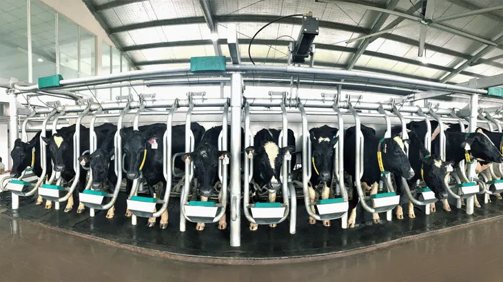 Vinamilk và những bước đi chiến lược trong 30 năm phát triển ngành chăn nuôi bò sữa - Ảnh 5. Vinamilk và những bước đi chiến lược trong 30 năm phát triển ngành chăn nuôi bò sữa - Ảnh 5.