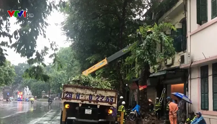 Nhiều cây xanh ở Hà Nội bật gốc sau trận mưa lớn - Ảnh 1. Nhiều cây xanh ở Hà Nội bật gốc sau trận mưa lớn - Ảnh 1.