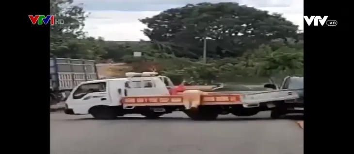 Vụ xe chở gỗ tông thẳng xe cảnh sát: Tài xế bị điều tra tội giết người - Ảnh 2. Vụ xe chở gỗ tông thẳng xe cảnh sát: Tài xế bị điều tra tội giết người - Ảnh 2.
