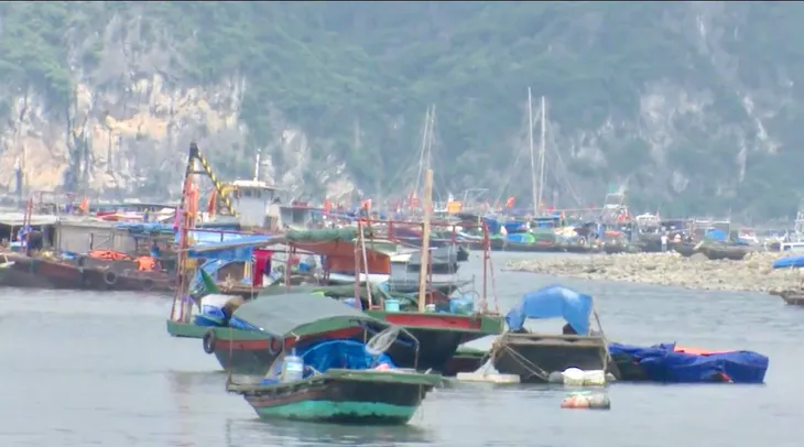 Quảng Ninh: Kêu gọi hơn 8.000 tàu thuyền vào khu tránh trú bão - Ảnh 3. Quảng Ninh: Kêu gọi hơn 8.000 tàu thuyền vào khu tránh trú bão - Ảnh 3.