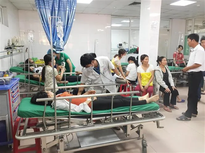 Nghệ An: Xe chở 23 nữ công nhân bị lật xuống ruộng - Ảnh 1. Nghệ An: Xe chở 23 nữ công nhân bị lật xuống ruộng - Ảnh 1.