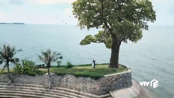 Về nhà đi con - Tập 85: Màn cầu hôn không thể ngọt ngào hơn của Vũ dành cho Thư - Ảnh 7. Về nhà đi con - Tập 85: Màn cầu hôn không thể ngọt ngào hơn của Vũ dành cho Thư - Ảnh 7.