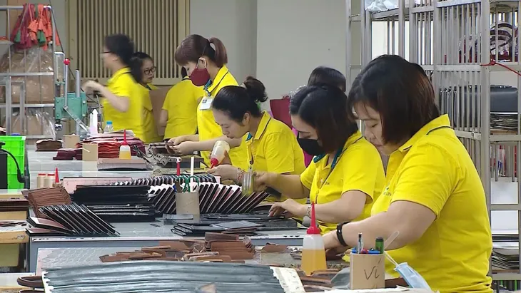 Bộ Tài chính đề xuất giảm thuế cho doanh nghiệp nhỏ và siêu nhỏ - Ảnh 1. Bộ Tài chính đề xuất giảm thuế cho doanh nghiệp nhỏ và siêu nhỏ - Ảnh 1.