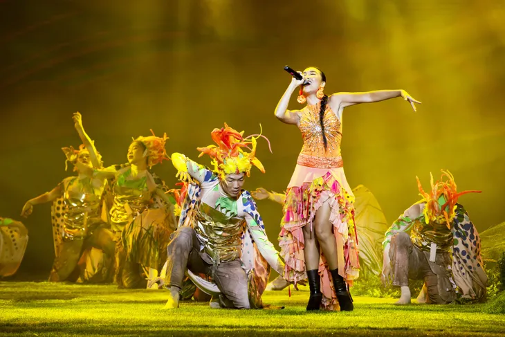 Những hình ảnh tuyệt sắc từ VTV True Concert - Ảnh 12. Những hình ảnh tuyệt sắc từ VTV True Concert - Ảnh 12.