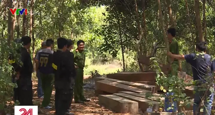 Bắt quả tang trưởng thôn tham gia phá rừng tại Đắk Lắk - Ảnh 2. Bắt quả tang trưởng thôn tham gia phá rừng tại Đắk Lắk - Ảnh 2.