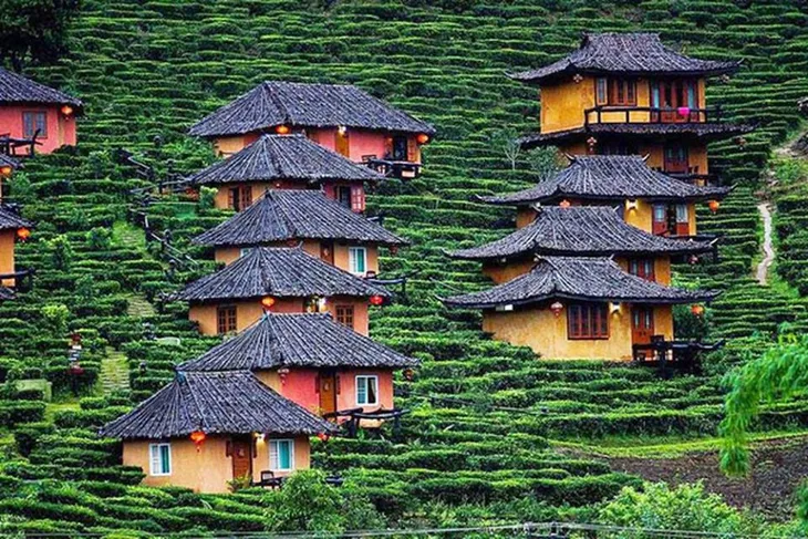 Ghé thăm ngôi làng giữa đồi chè đẹp tuyệt ở Thái Lan - Ảnh 1. Ghé thăm ngôi làng giữa đồi chè đẹp tuyệt ở Thái Lan - Ảnh 1.