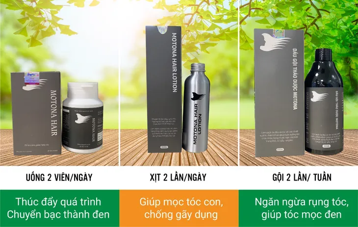 5 lý do nên chọn dầu gội thảo dược Motona Hair - Ảnh 3. 5 lý do nên chọn dầu gội thảo dược Motona Hair - Ảnh 3.