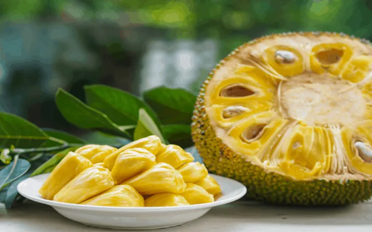 7 lợi ích bất ngờ của quả mít - Ảnh 1. 7 lợi ích bất ngờ của quả mít - Ảnh 1.