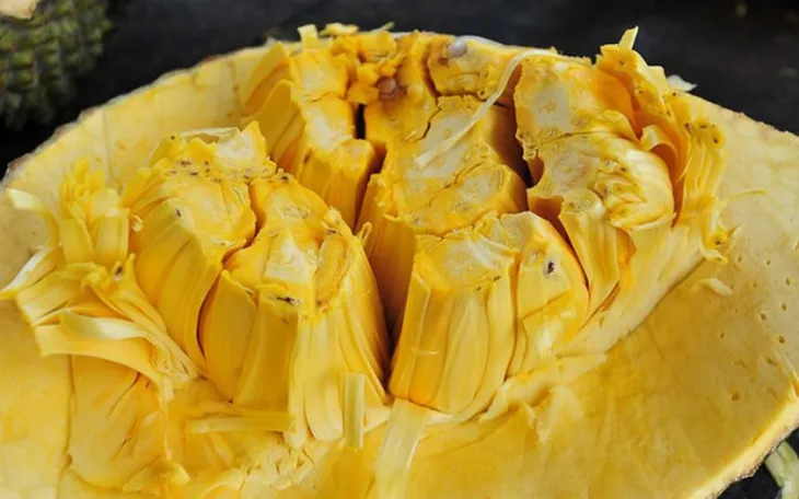 7 lợi ích bất ngờ của quả mít - Ảnh 4. 7 lợi ích bất ngờ của quả mít - Ảnh 4.