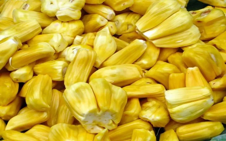 7 lợi ích bất ngờ của quả mít - Ảnh 7. 7 lợi ích bất ngờ của quả mít - Ảnh 7.