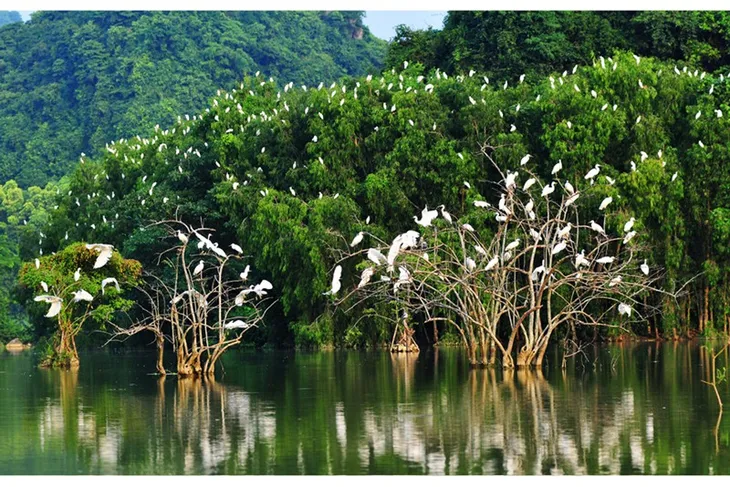 Những địa điểm du lịch về với thiên nhiên không thể bỏ lỡ dịp 2/9 - Ảnh 5. Những địa điểm du lịch về với thiên nhiên không thể bỏ lỡ dịp 2/9 - Ảnh 5.