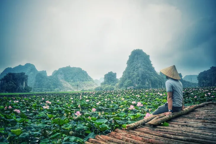 Xuất hiện đầm sen lạ nở rộ giữa Thu - Ảnh 1.