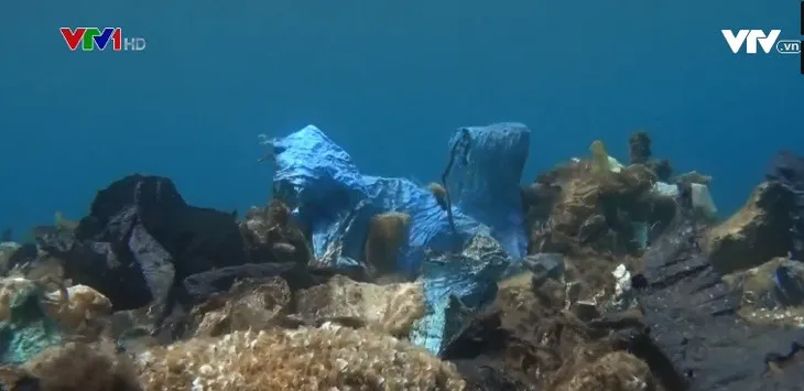“Rạn san hô nhựa dưới biển Aegean ở Hy Lạp - Ảnh 2. “Rạn san hô nhựa dưới biển Aegean ở Hy Lạp - Ảnh 2.