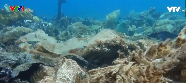 “Rạn san hô nhựa dưới biển Aegean ở Hy Lạp - Ảnh 1. “Rạn san hô nhựa dưới biển Aegean ở Hy Lạp - Ảnh 1.