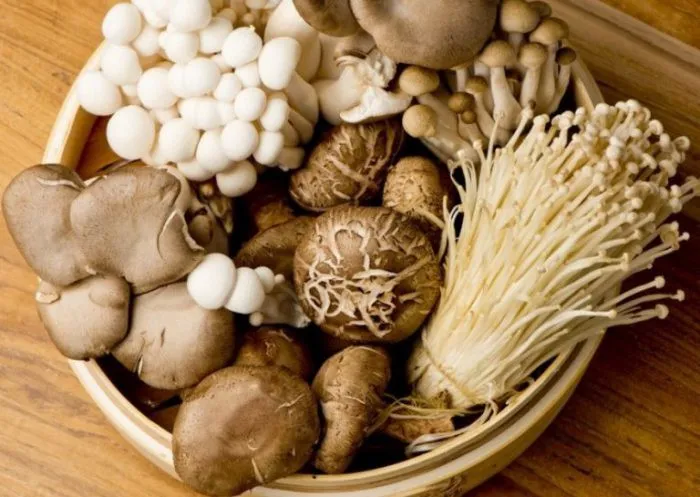 Điểm danh những loại rau củ an toàn, ăn bao nhiêu cũng không sợ thuốc trừ sâu - Ảnh 3. Điểm danh những loại rau củ an toàn, ăn bao nhiêu cũng không sợ thuốc trừ sâu - Ảnh 3.