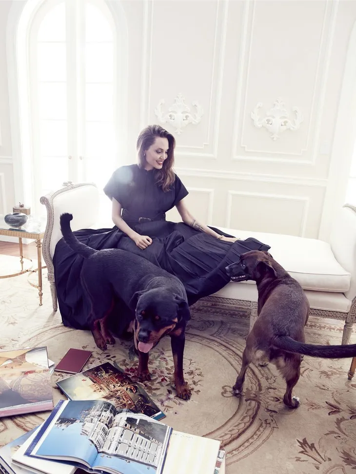 Angelina Jolie vẫn mạnh mẽ và đầy quyền lực - Ảnh 2. Angelina Jolie vẫn mạnh mẽ và đầy quyền lực - Ảnh 2.