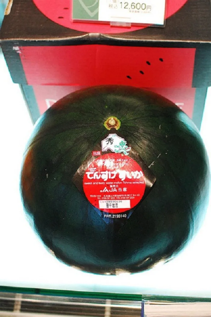 Cửa hàng trái cây tươi đắt nhất Nhật Bản - Ảnh 3. Cửa hàng trái cây tươi đắt nhất Nhật Bản - Ảnh 3.