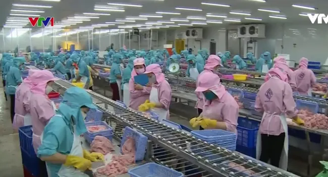 Xuất khẩu thủy sản 7 tháng giảm 1% - Ảnh 1. Xuất khẩu thủy sản 7 tháng giảm 1% - Ảnh 1.