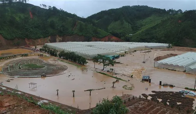 Ngoạn mục giải cứu 41 người bị nước lũ bao vây tại Lâm Đồng - Ảnh 1. Ngoạn mục giải cứu 41 người bị nước lũ bao vây tại Lâm Đồng - Ảnh 1.