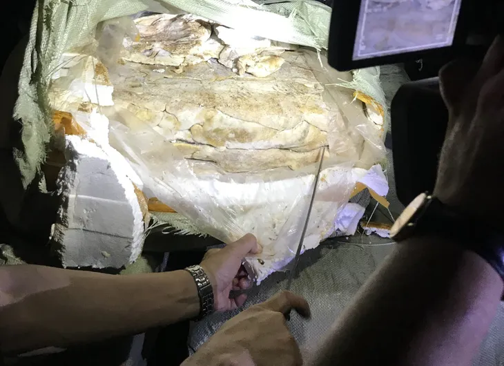 Thu giữ 400kg nầm lợn nhập lậu bốc mùi hôi thối - Ảnh 1.