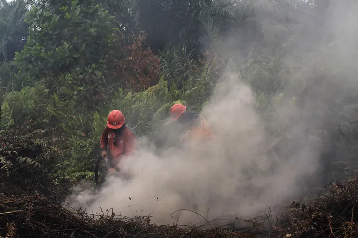 Indonesia và Malaysia đóng cửa hàng trăm trường học vì khói bụi cháy rừng - Ảnh 1. Indonesia và Malaysia đóng cửa hàng trăm trường học vì khói bụi cháy rừng - Ảnh 1.