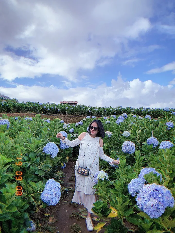 MC Phí Linh: Bầu bí là khoảng thời gian sung sướng nhất từ trước đến nay - Ảnh 2. MC Phí Linh: Bầu bí là khoảng thời gian sung sướng nhất từ trước đến nay - Ảnh 2.